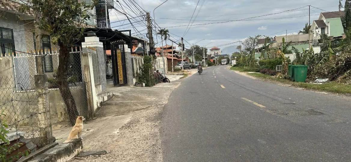 Đất mặt tiền Quốc lộ 19C, huyện Vân Canh, 400m² - Đầu tư sinh lời hấp dẫn!