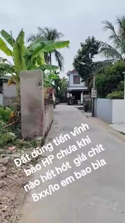 Đất thổ cư Dũng Tiến Hải Phòng 100m² giá chỉ 8xx triệu - Cơ hội đầu tư tuyệt vời!