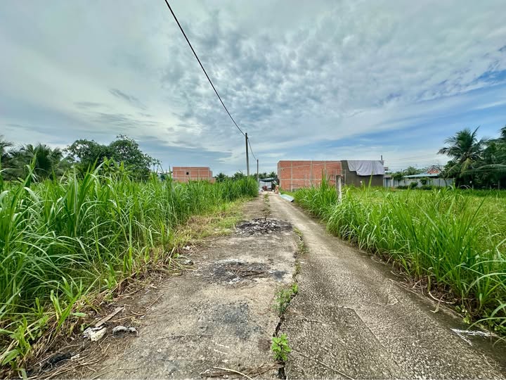 Đất nền liền kề Tân Mỹ Chánh, Mỹ Tho 210m² giá 1.5 tỷ - Cơ hội đầu tư tuyệt vời!