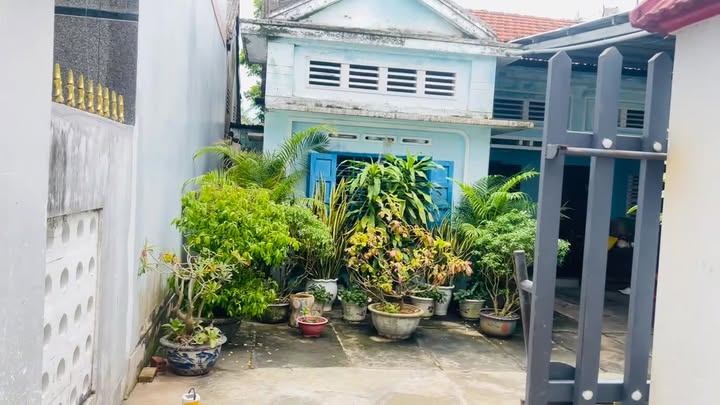 Đất nền Phú Lâm Tuy Hòa 125m² giá 1.5 tỷ - Đầu tư sinh lời ngay!