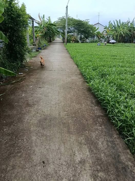 Đất nền 150m² tại Gò Công, Tiền Giang - Sổ hồng chính chủ chỉ 460 triệu!