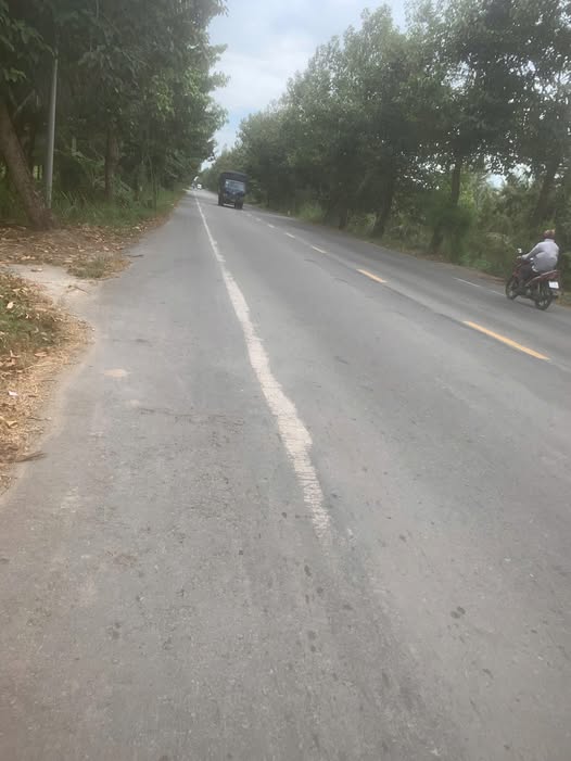 Bán đất nền vườn dừa mặt tiền đường Trương Vĩnh Trọng 717m² - Giá cực tốt chỉ 1.2 tỷ!