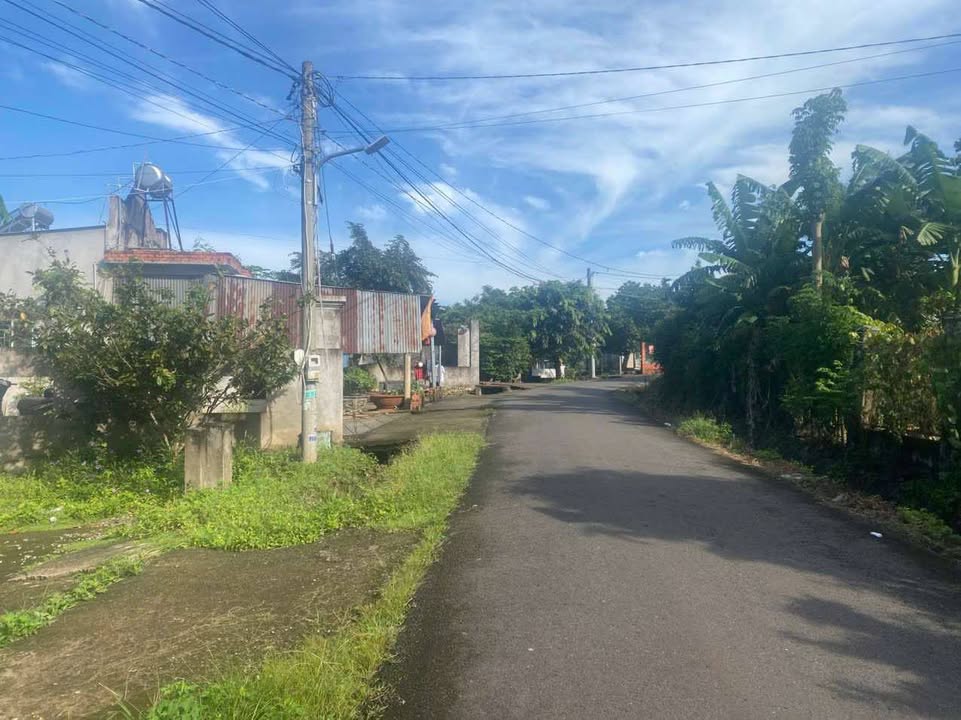 Farm 2.886m² tại Bình Giã, Bà Rịa - Vũng Tàu giá 4.5 tỷ - Nhà view suối tuyệt đẹp!