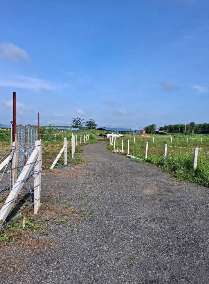 Đất nền Phước Long Thọ 1100m² giá 699 triệu - Cơ hội đầu tư tuyệt vời!