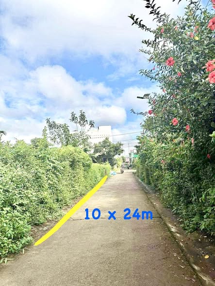 Đất nền Quốc lộ 14, TP. Buôn Ma Thuột 240m² giá chỉ 2.9 tỷ - Đầu tư sinh lời ngay!