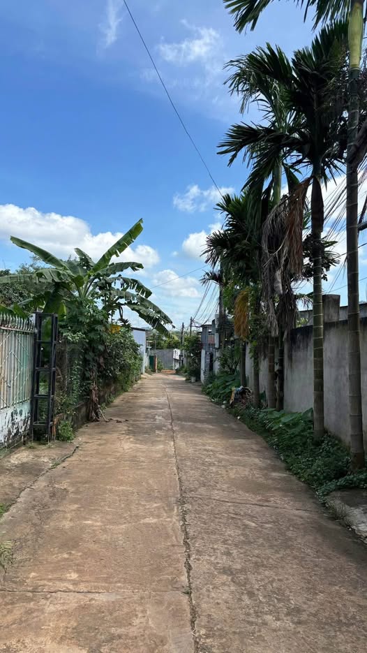 Đất hẻm Y Ni Ksor Buôn Ma Thuột 110m² giá 2.45 tỷ - Vị trí đắc địa gần trung tâm