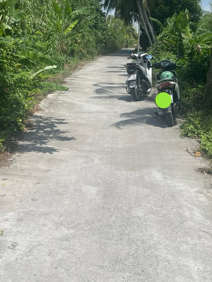 Đất nền Tân Hạnh, Long Hồ 1900m² - Mặt tiền rộng, giá tốt!