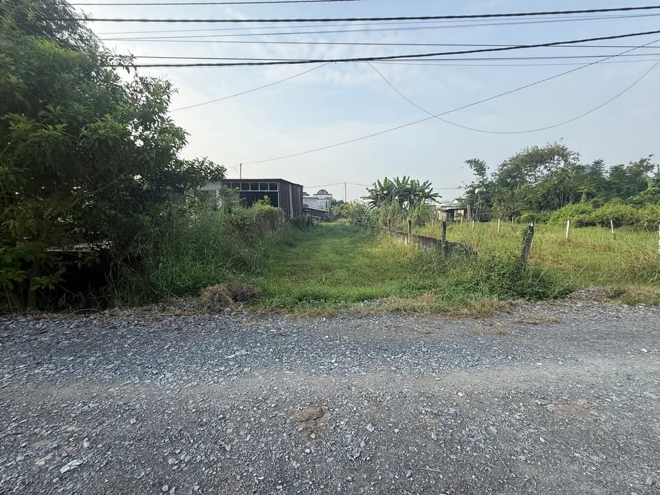 Đất thổ cư xã Tân An Hội, Củ Chi 150m² giá 1.45 tỷ - Sổ hồng chính chủ