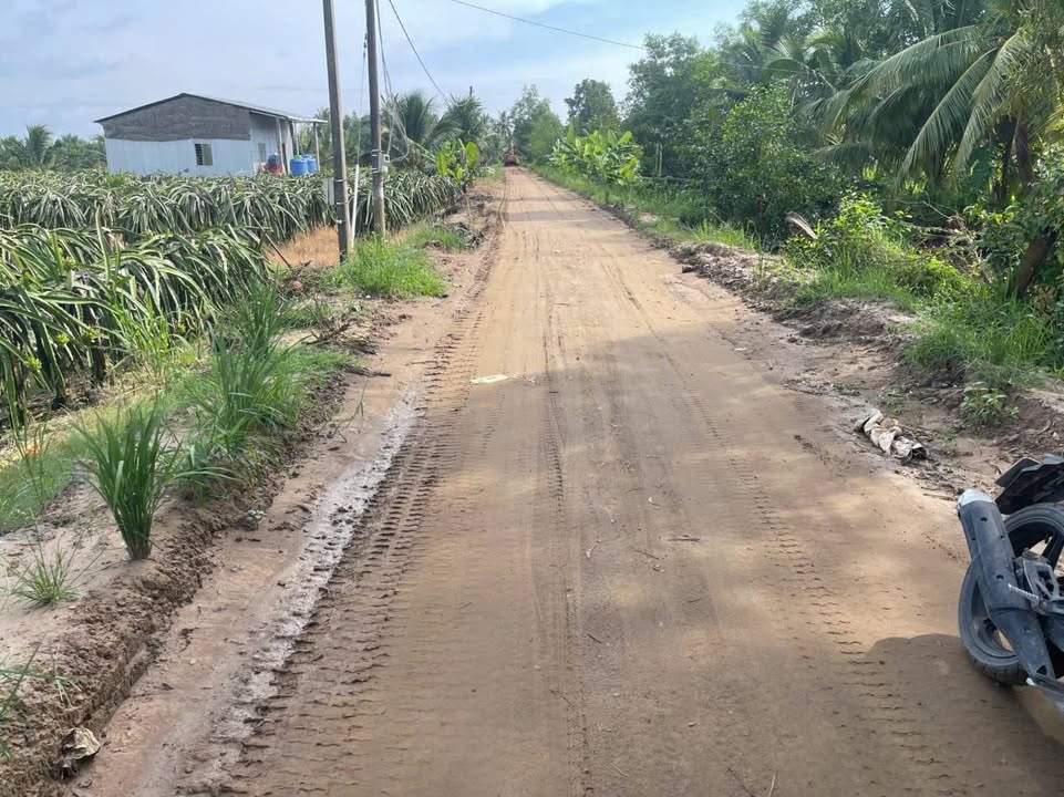 Đất nông nghiệp 15.270m² tại ấp Giồng Bèn, Trà Vinh - Giá chỉ 4.123 tỷ!