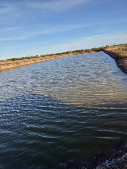 Đất nền phường 5 Bạc Liêu 16.000m² - Đầu tư sinh lời hấp dẫn!