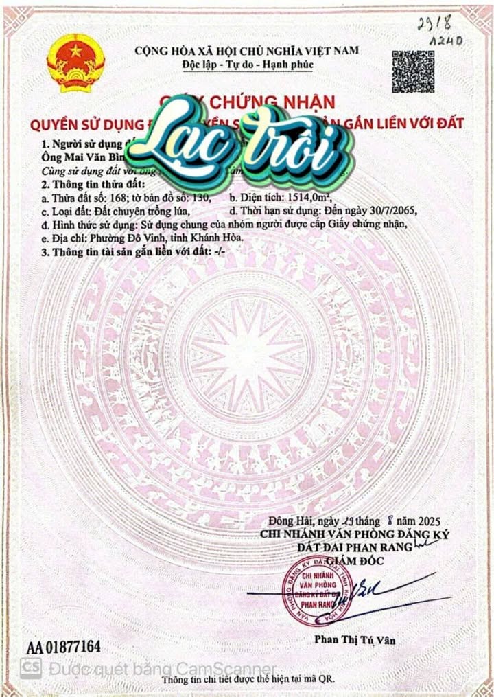 Đất mặt tiền kênh Bắc Đô Vinh 1500m² giá chỉ 300 triệu - Cơ hội đầu tư hấp dẫn!