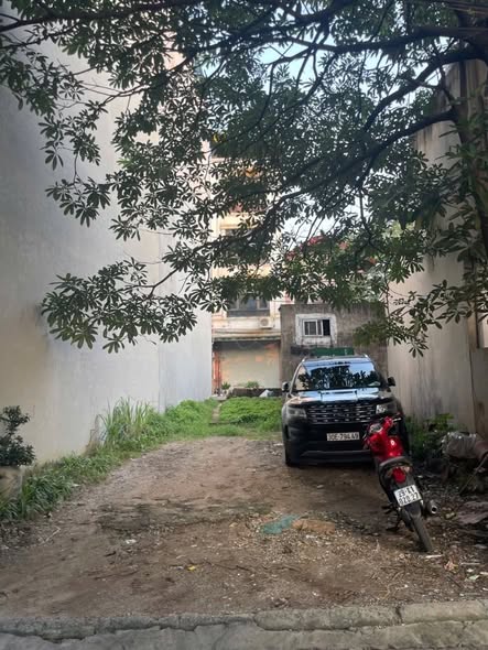 Đất nền Giang Biên 30m² giá 3.75 tỷ - Vị trí đắc địa cho tương lai!