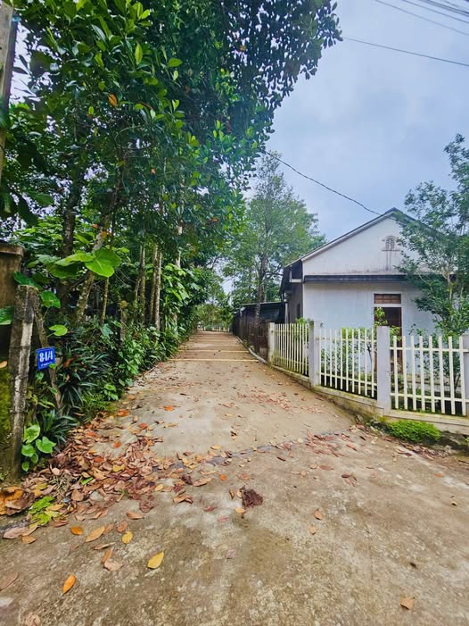 Đất nền tại Thủy Xuân, Huế 100m² giá 1.3 tỷ - Đầu tư sinh lời ngay!