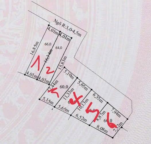 Đất nền Lâm Động Thủy Nguyên 60m² giá chỉ 900 triệu - Sổ đỏ chính chủ!