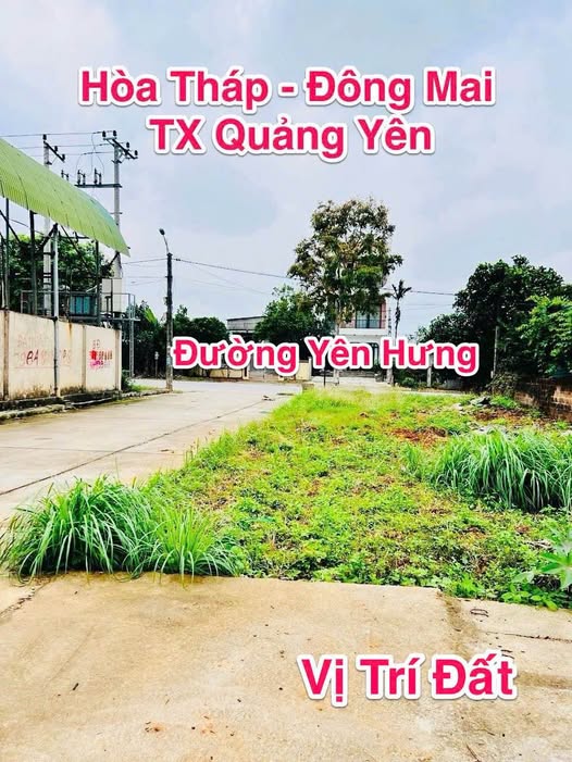 Đất nền khu phố Hòa Tháp - Đông Mai - 88m² chỉ 900 triệu - Đầu tư sinh lời ngay!