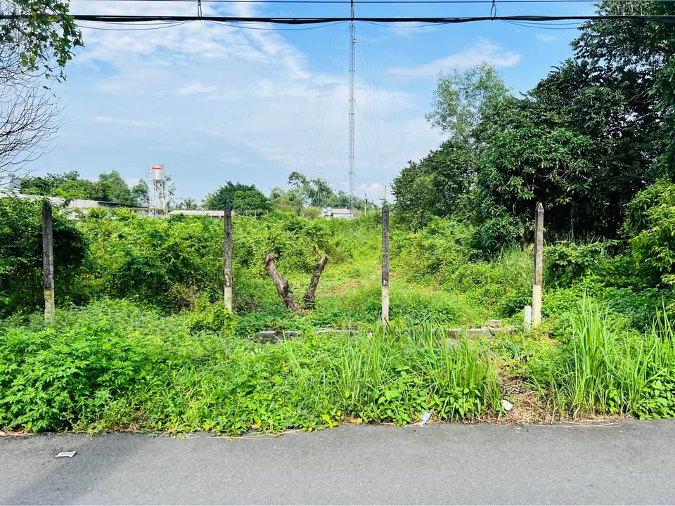 Đất nền Phước Vĩnh An, Củ Chi 133m², giá 2 tỷ - Sổ đỏ chính chủ!