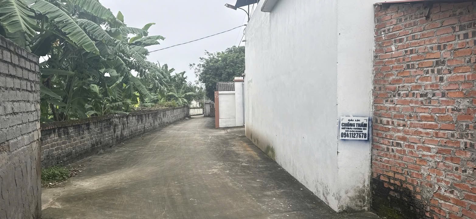 Đất nền Thọ Xương Bắc Giang 700m² - Chính chủ bán nhanh giá tốt!