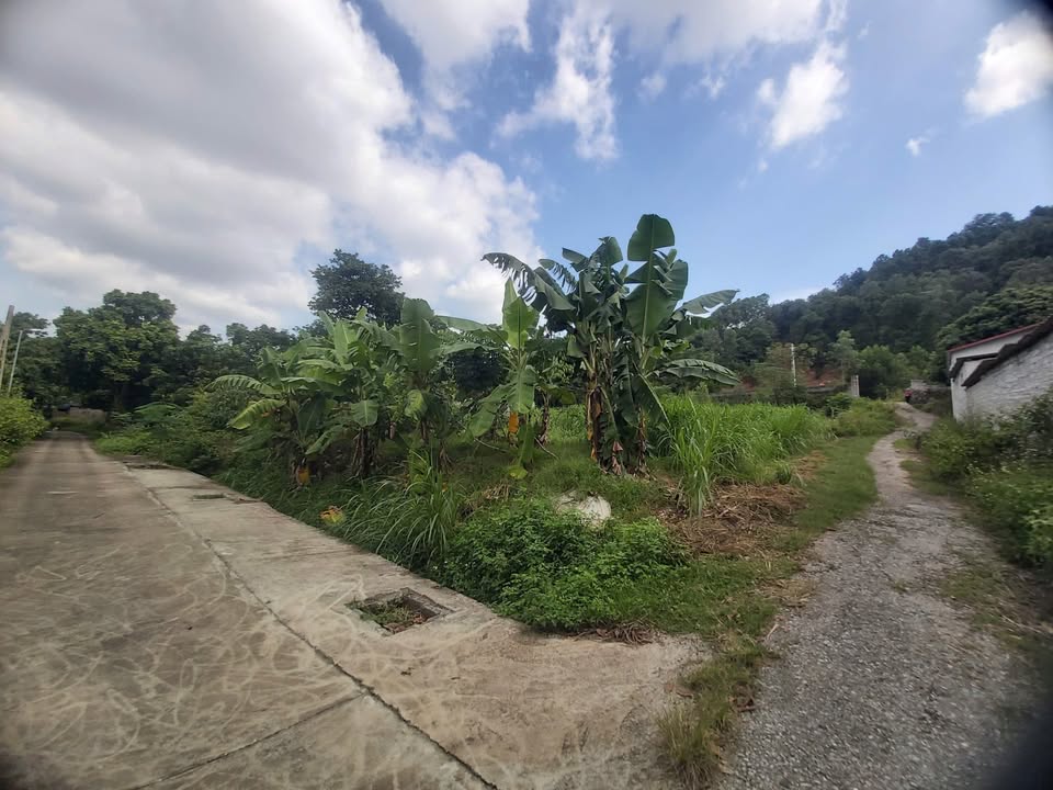 Đất nền góc 108m² Đồng Việt, Bắc Giang giá chỉ 600 triệu - Cơ hội đầu tư hấp dẫn!