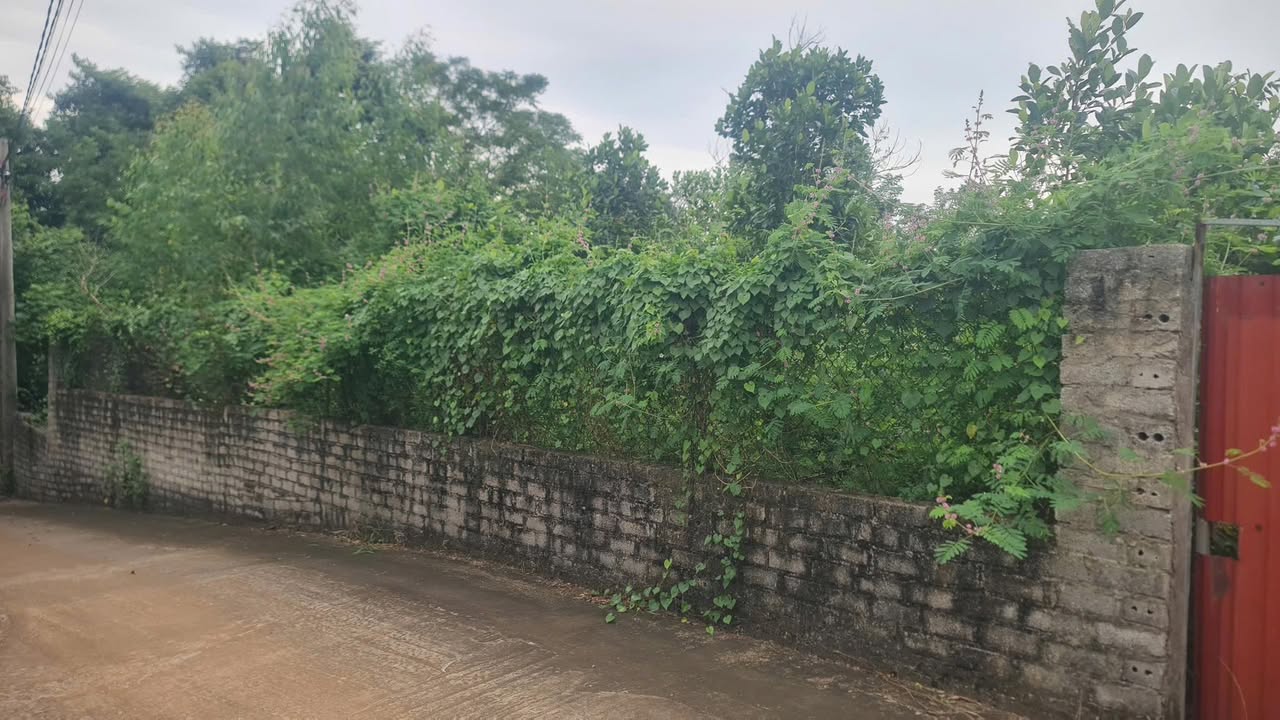 Đất thổ cư 456m² tại Thôn Nam, Yên Dũng - Mặt tiền 18,5m, giá chỉ 3,1 tỷ!