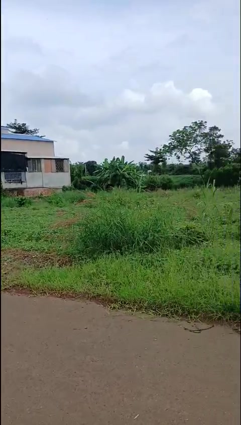 Đất nền Quảng Thành, Châu Đức 1800m² giá chỉ 1.55 tỷ - Đầu tư sinh lời ngay!