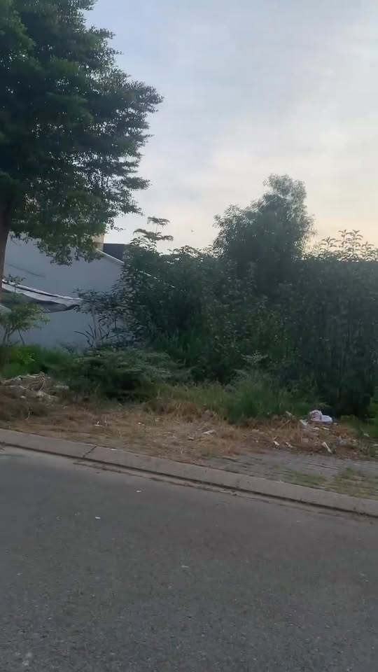 Đất nền khu dân cư Trần Anh Đức Hòa 100m² giá 2 tỷ - Đầu tư sinh lời ngay!