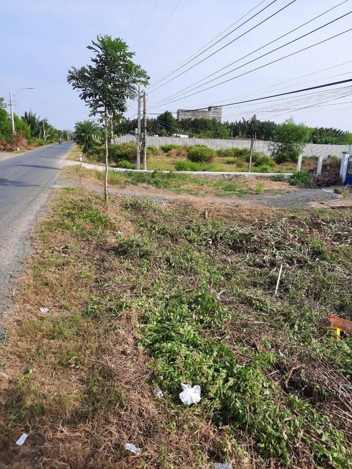 Đất mặt tiền đường Bà Kiểu, 804m² giá 3,2 tỷ - Cơ hội đầu tư tuyệt vời!