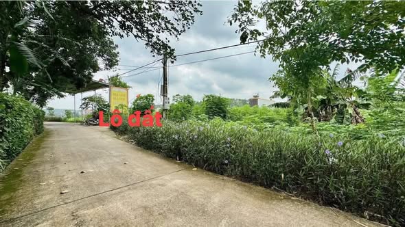 Đất thổ cư tại Liễn Sơn, Lập Thạch 147m² giá 1.2 tỷ - Kinh doanh thuận lợi!