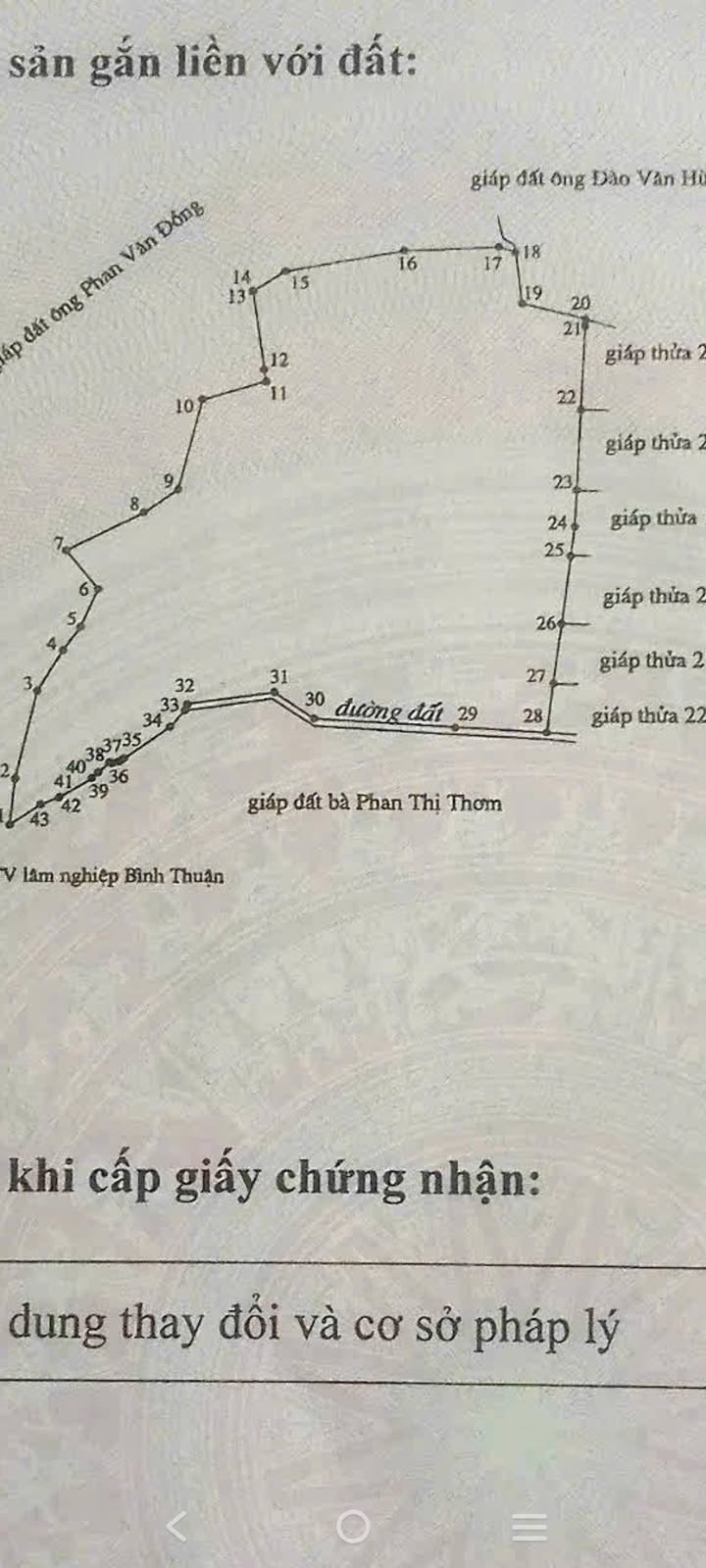 Đất trang trại 8,2ha tại Hàm Cường, Bình Thuận - Giá chỉ 1,93 tỷ VND, thương lượng nhẹ!