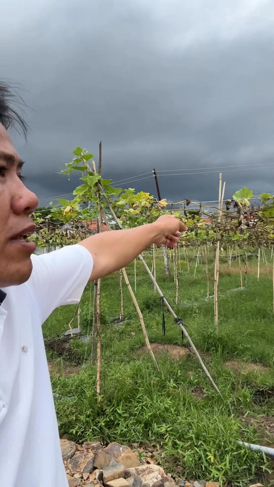 Đất nền Hàm Chính 2500m² giá 2.5 tỷ - Đầu tư sinh lời ngay!