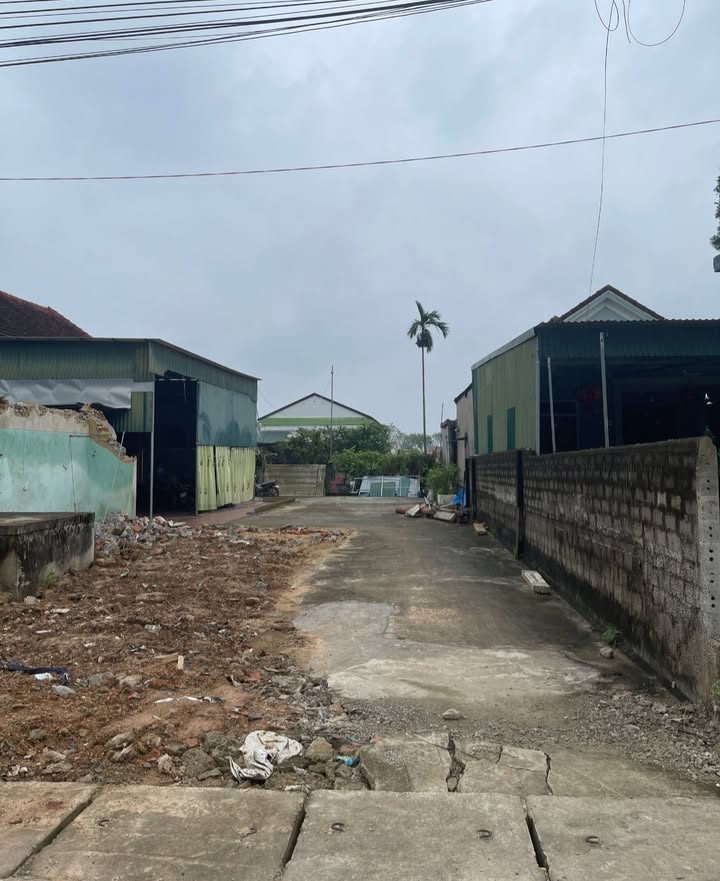 Đất kinh doanh buôn bán tại xã Phúc Thành, huyện Yên Thành, 196m² giá 2.9 tỷ - Cơ hội đầu tư tuyệt vời!