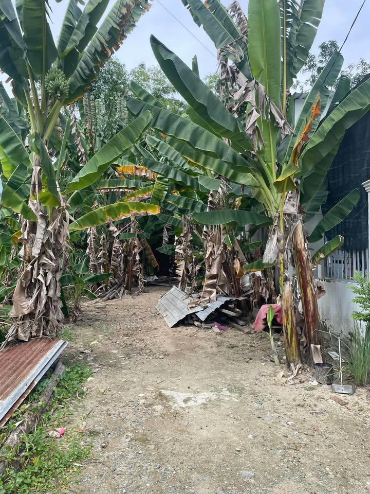 Đất nền hẻm 3 Phước Trung, Nha Trang 91.6m² giá 800 triệu - Cơ hội đầu tư hiếm có!