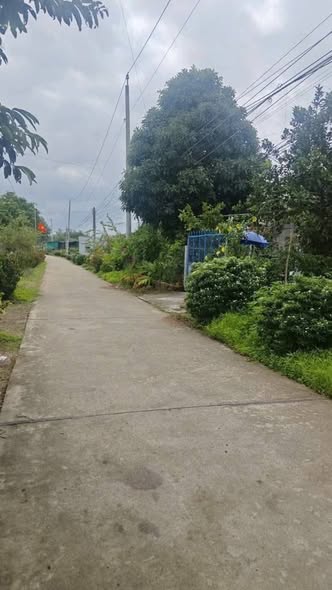 Đất thổ cư xã Phú Vinh 1200m² giá 1.15 tỷ - Đầu tư sinh lời hiệu quả!