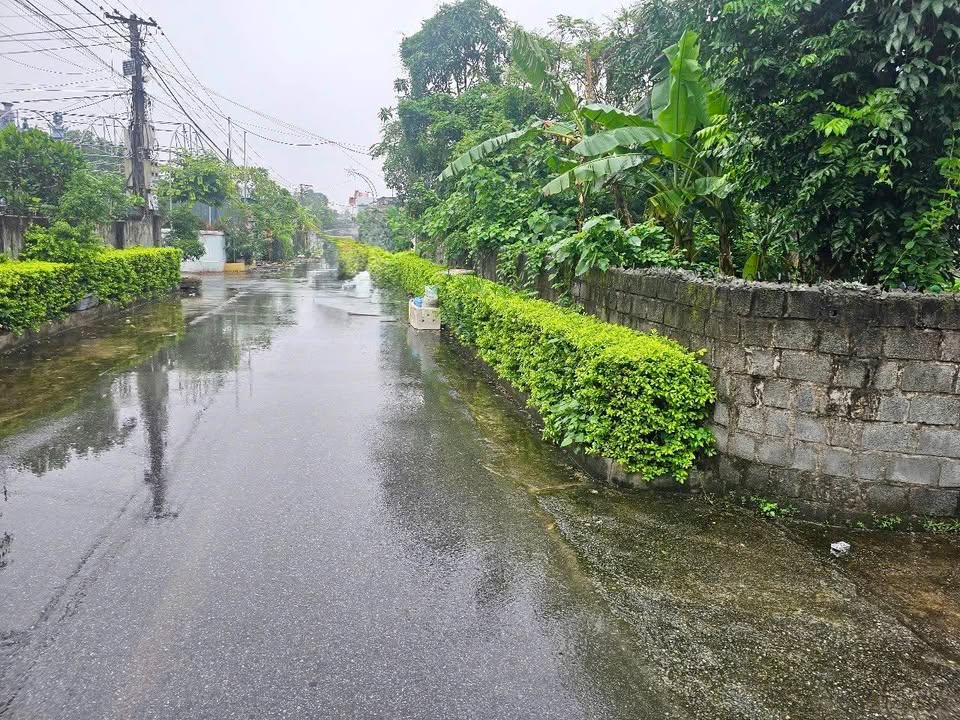 Đất nền lô góc 120m² Thôn Bắc, Tây Giang - Đầu tư sinh lời dễ dàng!