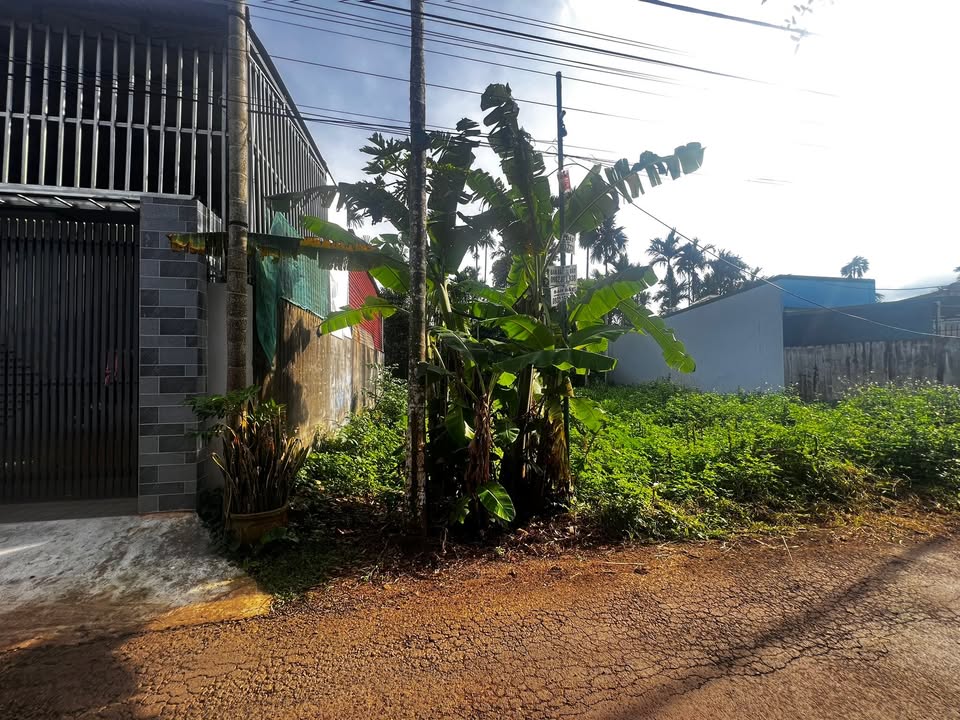 Đất nền tại chợ Hòa Thắng, Buôn Ma Thuột 137m² giá 1.89 tỷ - Cơ hội đầu tư tuyệt vời!