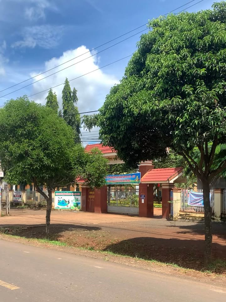 Đất thổ cư 550m² tại Ea Bar, Buôn Đôn - Cơ hội đầu tư tuyệt vời!