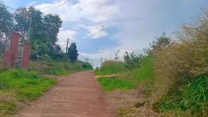 Đất Xào 3600m² xã Thống Nhất, Bù Đăng chỉ 280 triệu - Cơ hội đầu tư tuyệt vời!