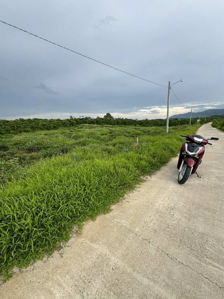 Đất nền Bảo Lộc 1600m² giá 1.2 tỷ - Cần bán gấp, lô 2 mặt tiền!