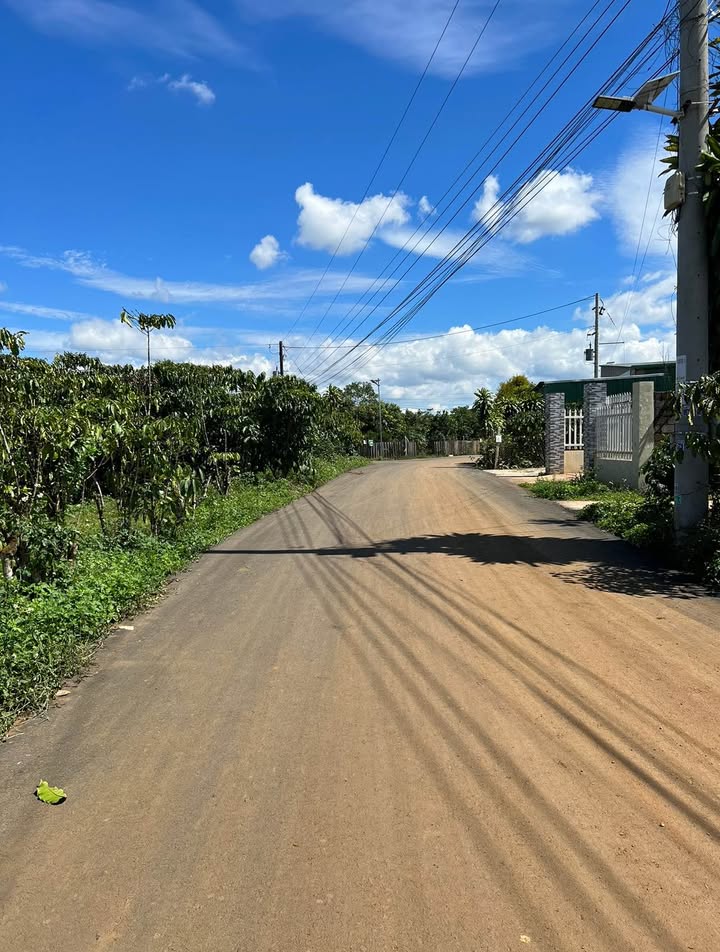 Đất nền Bảo Lộc 3300m² giá 8.5 tỷ - Cơ hội đầu tư tuyệt vời!