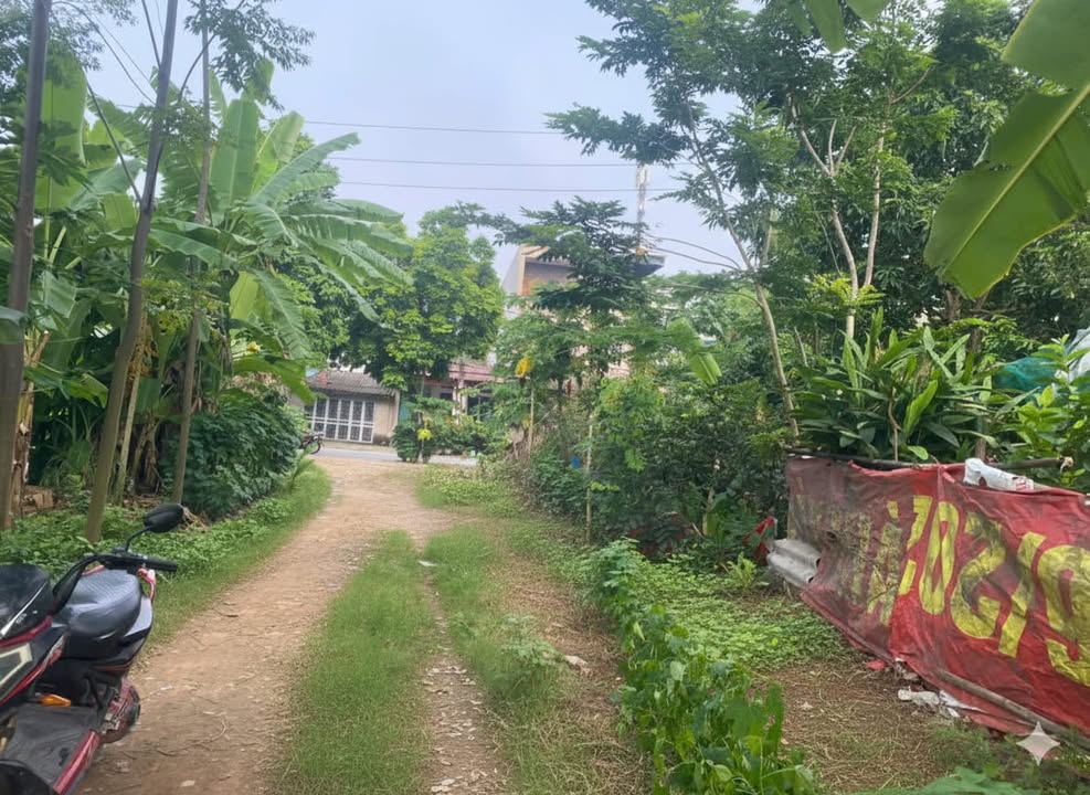 Đất nền Hồng Hà 2, Thanh Miếu, Việt Trì 72m² giá 1.95 tỷ - Sổ hồng chính chủ!