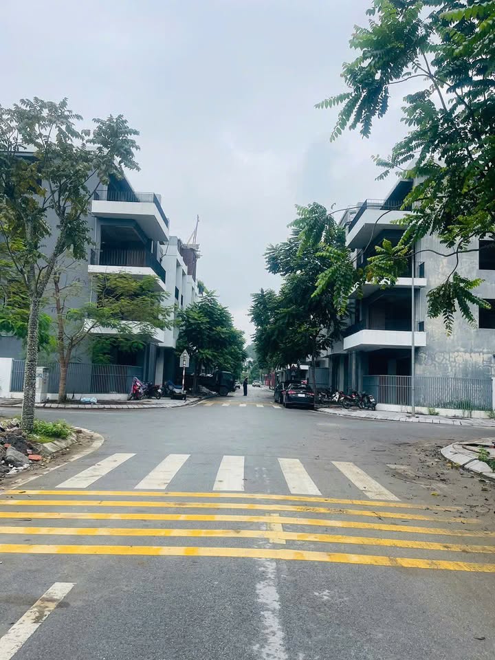 Đất biệt thự Vũ Thế Lang 180m² giá 11 tỷ - Hướng Tây Nam, vị trí đắc địa!