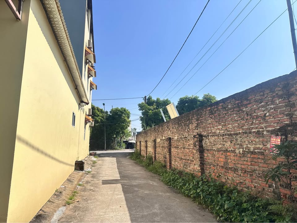 Đất thổ cư Thanh Miếu Việt Trì 81m² giá 1.88 tỷ - Cơ hội đầu tư tuyệt vời!