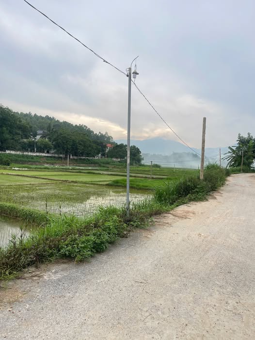 Đất thổ cư Hoàng Hoa, Tam Dương 114m² giá 600 triệu - Sổ hồng chính chủ