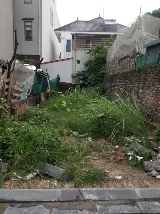 Đất Cổ Loa, Đông Anh 64m² - Ô tô vào đất, vị trí đẹp để đầu tư!