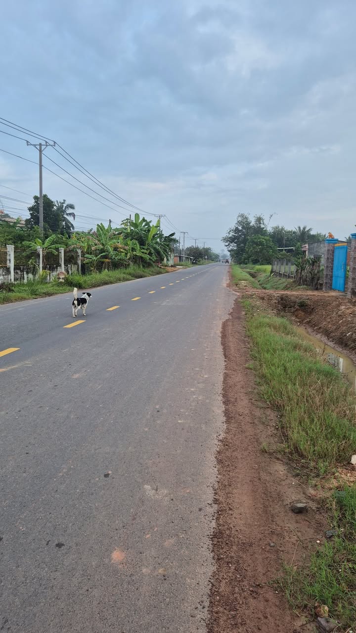 Đất thổ cư Hương Lộ 4, Hảo Đước, Châu Thành, Tây Ninh 198m² giá 600 triệu - Đầu tư sinh lời ngay!