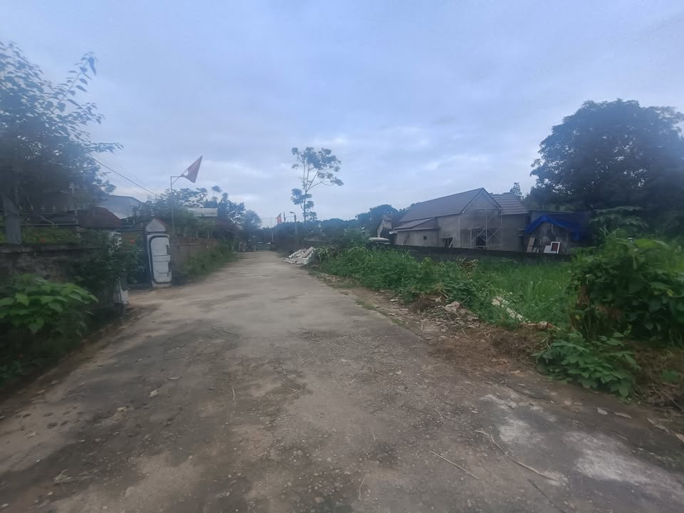 Đất Farm Nghĩa Thành 3100m² giá chỉ 1 tỷ - Đầu tư sinh lời ngay!
