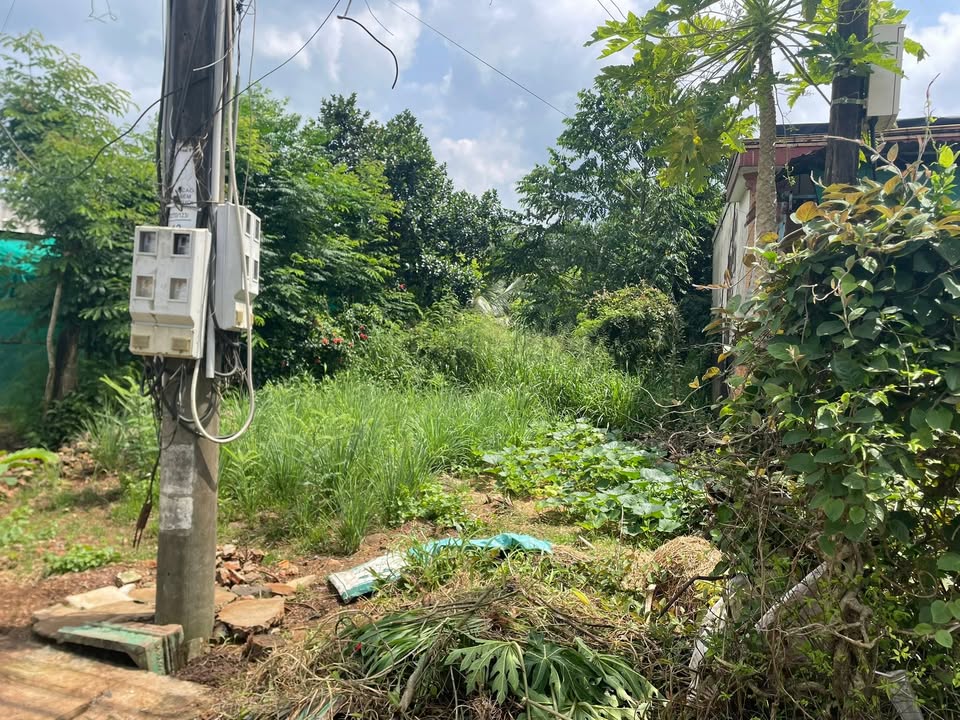 Đất nền sổ đỏ tại Phú Túc, Định Quán, 300m² giá 3 tỷ - Đường nhựa 763 rộng rãi!