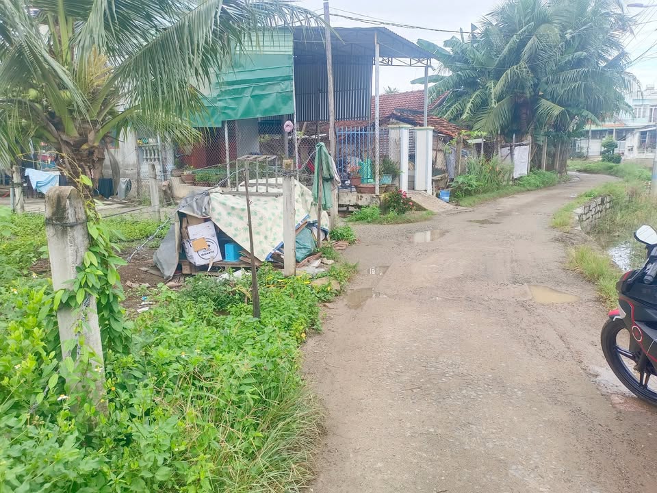 Đất Nền Ninh Hiệp Ninh Hòa 130m² giá 1.5 tỷ - Đường ô tô thông thoáng!