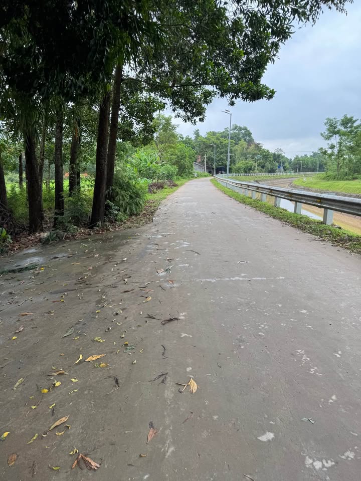 Đất Farm 1100m² Xã Phúc Trìu, Thái Nguyên - Giá chỉ 2 tỷ, Sở hữu ngay!