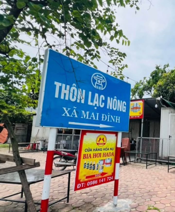 Đất thổ cư Lạc Nông, Mai Đình, Sóc Sơn 85m² giá chỉ 2 tỷ - Sổ đỏ trao tay!