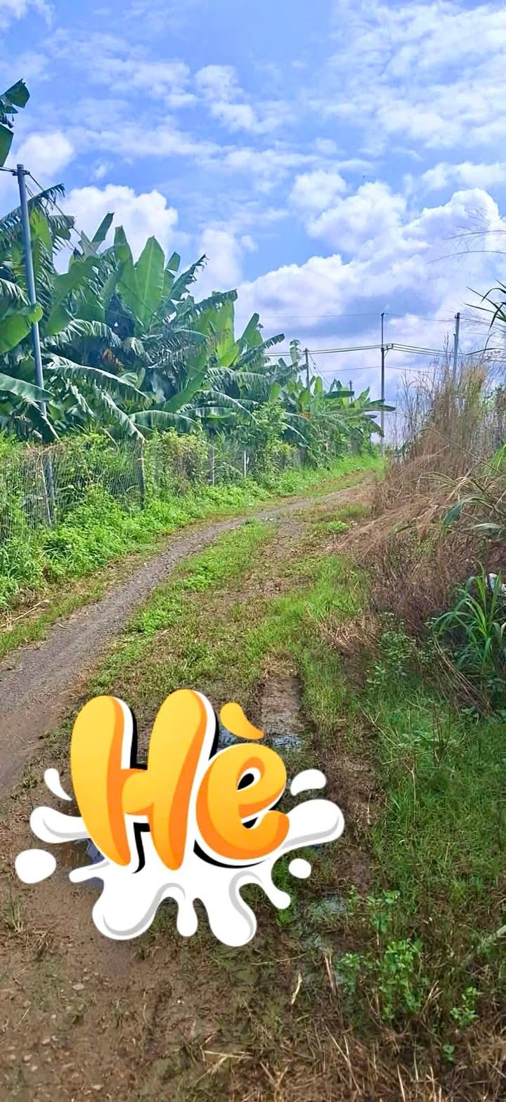 Đất nền 2 sào tại ấp 3, xã Sông Trầu, Trảng Bom, Đồng Nai - Giá chỉ 1.594 tỷ!